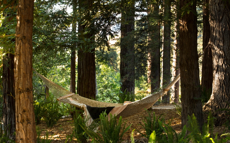 The 6 Most Deluxe Glamping Experiences in North America
